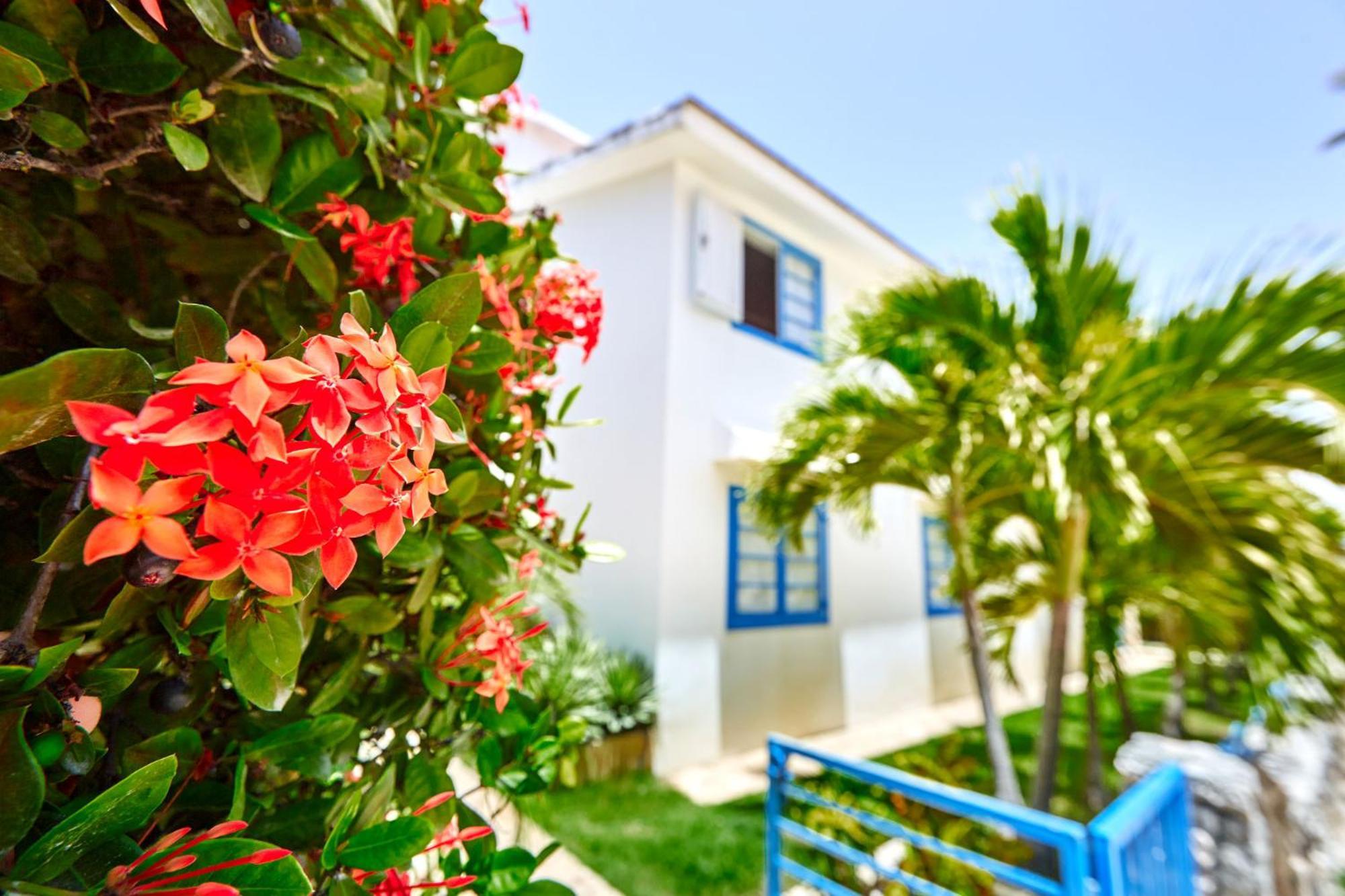 La Flor Del Caribe Beach & Spa Punta Cana Værelse billede